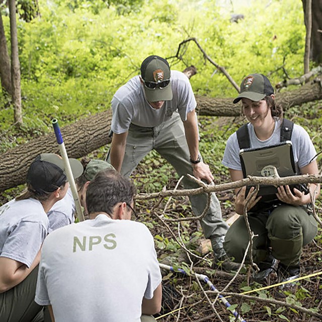 A group of 5 NPS officials observing plant life.