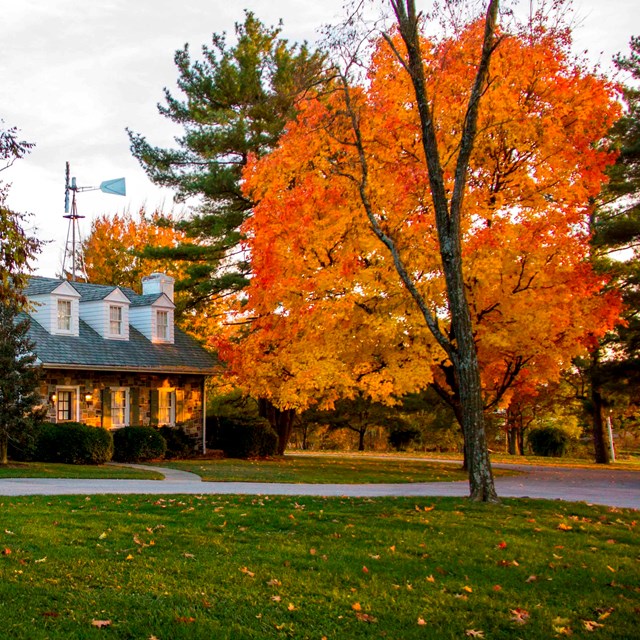 The reflection of a sunrise appears on the front door of the Eisenhower home during the fall.