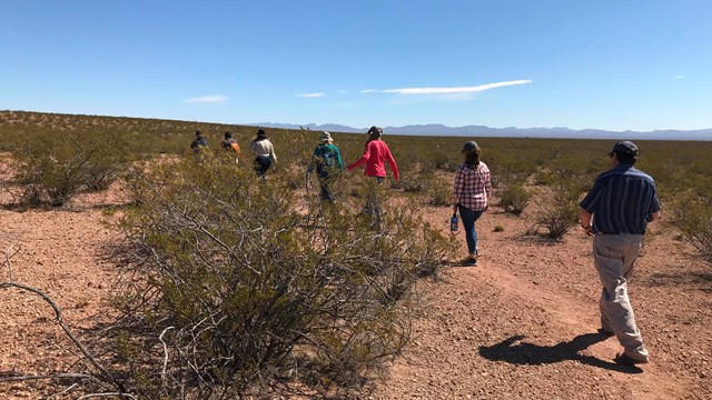 People walk away, down a dirt trail in the desert.