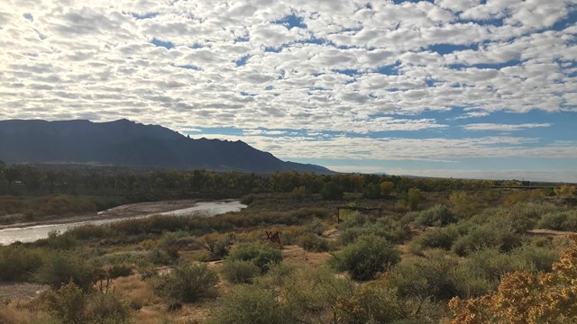 A desert landscape