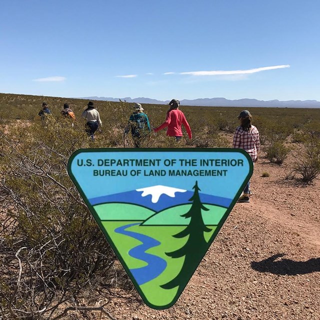 Bureau of Land Management triangle logo with forest depiction.