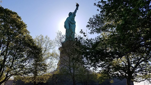 From the grounds of Liberty Island, the back-lit Statue is seen behind trees.