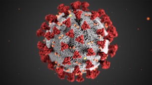 digital rendition of coronavirus featuring a spherical shape with spiky red protrusions