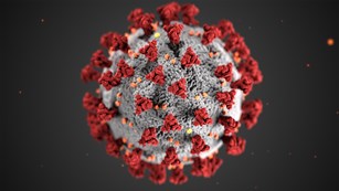 digital rendition of coronavirus featuring a spherical shape with spiky red protrusions