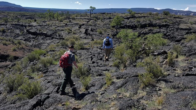 Two hikers walks across black, craggy rock between sparse bushes.