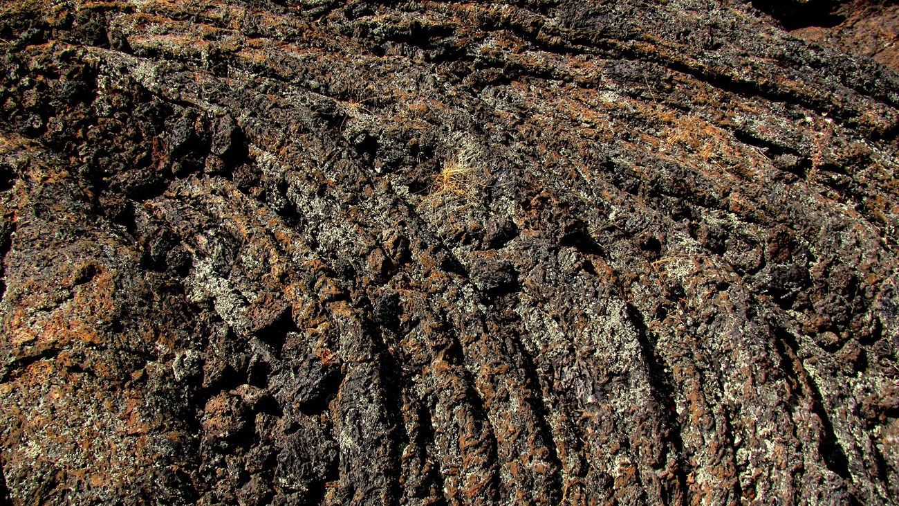 Close up image of ropy textured dark lava rock