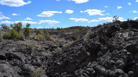 Black, craggy rock bulges up and across the landscape in every direction with sparse trees.