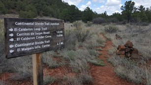 A wooden trail sign with white text lists trail names and distances.