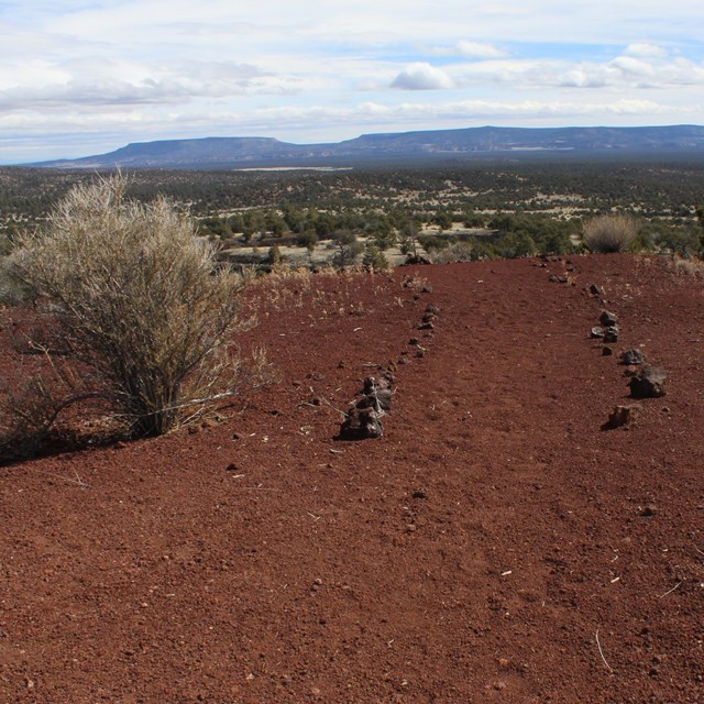 Two lines of stones create a path on an expanse of red cinders dotted with bushes.