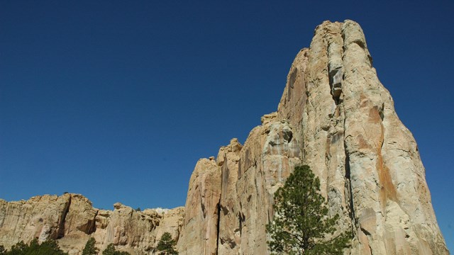 A sandstone cliff rises above trees and into the sky