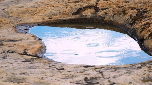 a small pool of water in the bedrock