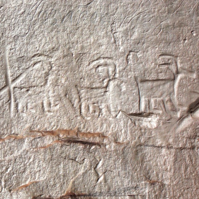 Four petroglyphs of bighorn sheep carved into a rock