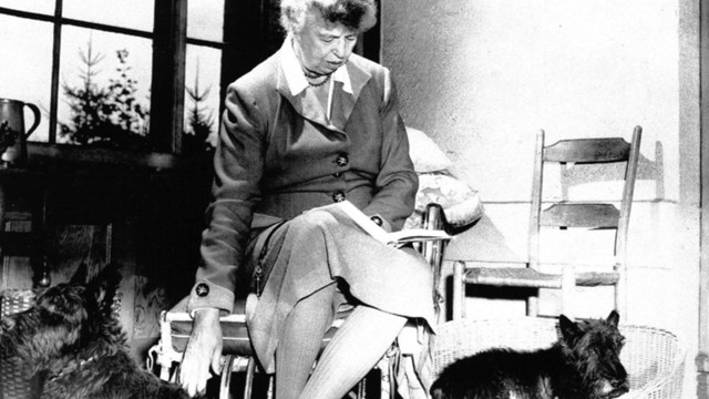 Eleanor Roosevelt seated with her two dogs at foot.