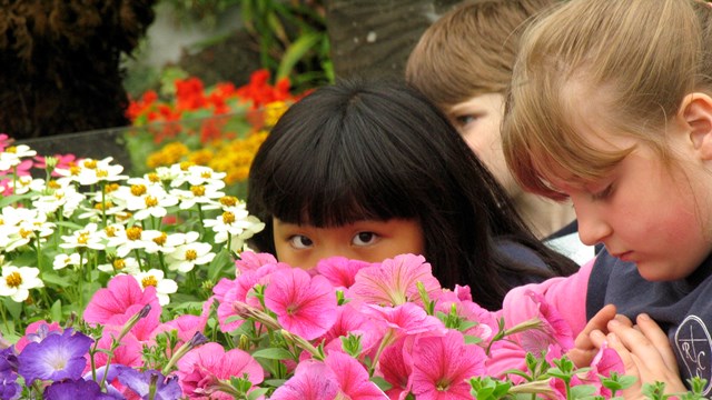 Two young girls examining flowers.