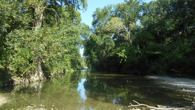 A highly vegetated creek corridor with a meandering creek.