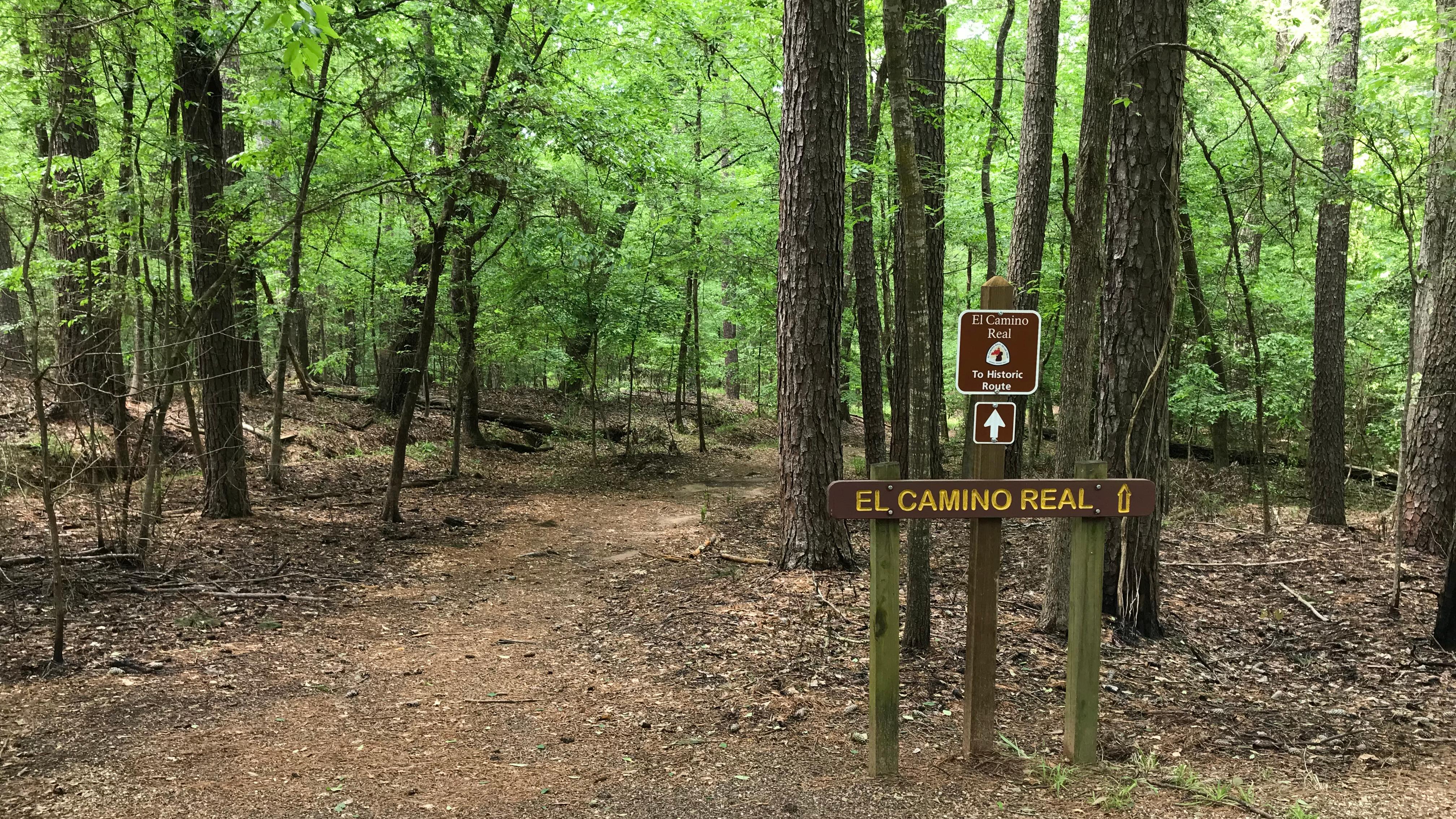 A dirt path leads into a dense broad-leaf tree forest with a historic trail sign.