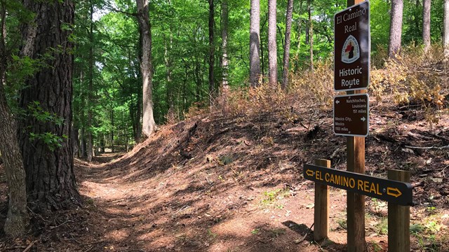 A trail sign next to a trail that leads into a heavily forested wood.