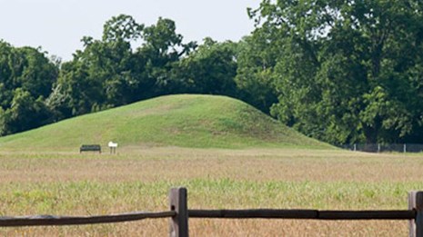 Caddo Mounds