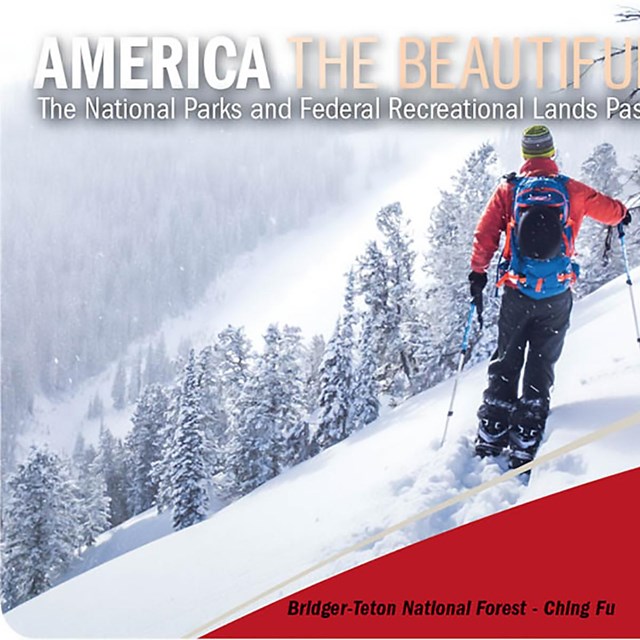 A man is snowshoeing on a steep, snowy slope, in a snowy forest.