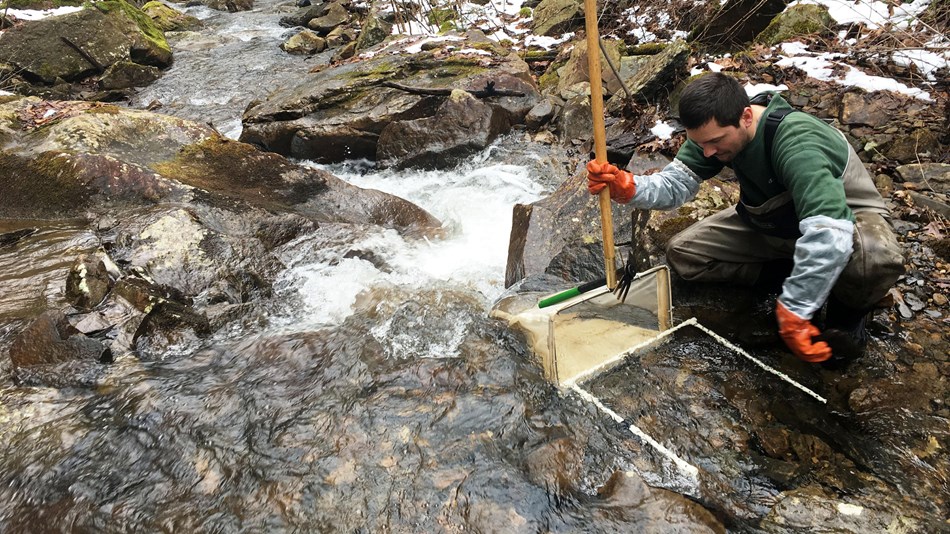 Person in holding a net in a briskly flowing stream to capture macroinvertebrates