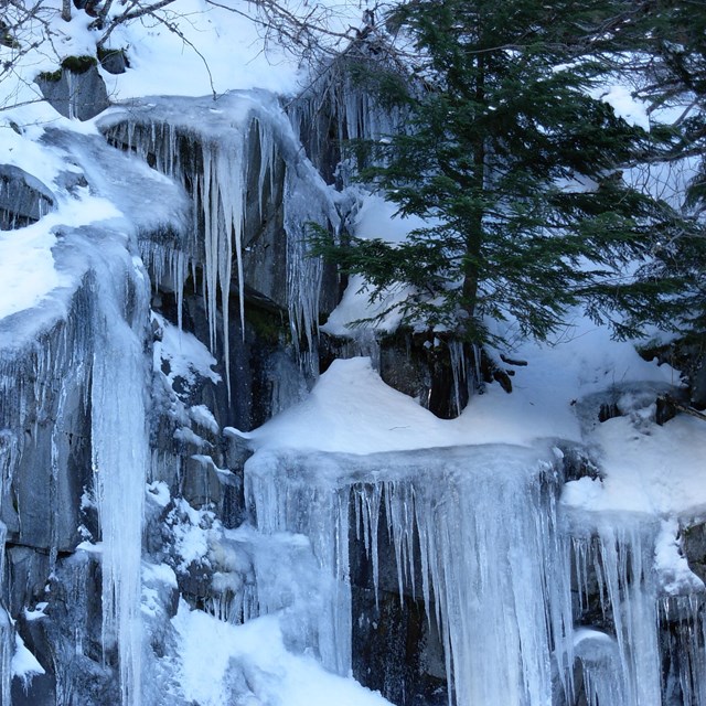 ice and trees on rocky cliff