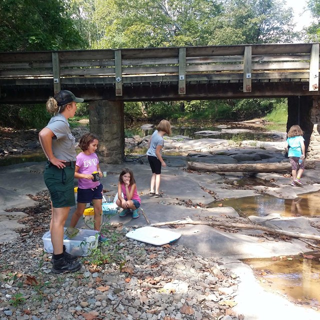 ranger and group of children on rocky stream bed below a bridge