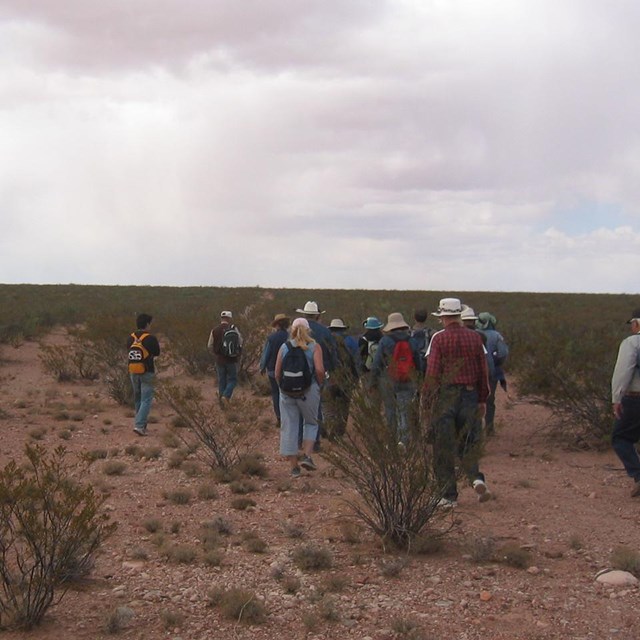 personas de espalda caminando por sendero