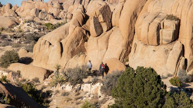 Grupo de visitantes sentados en Jumbo Rocks.