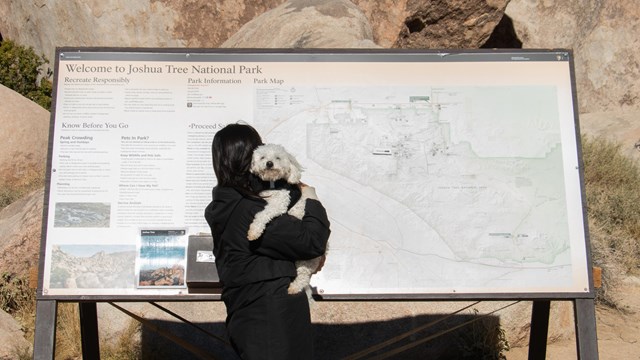 Dog being held by visitor in front of park signage.