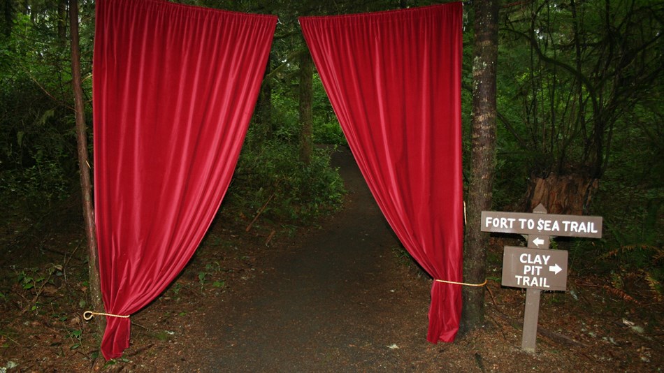 Una cortina roja en el bosque
