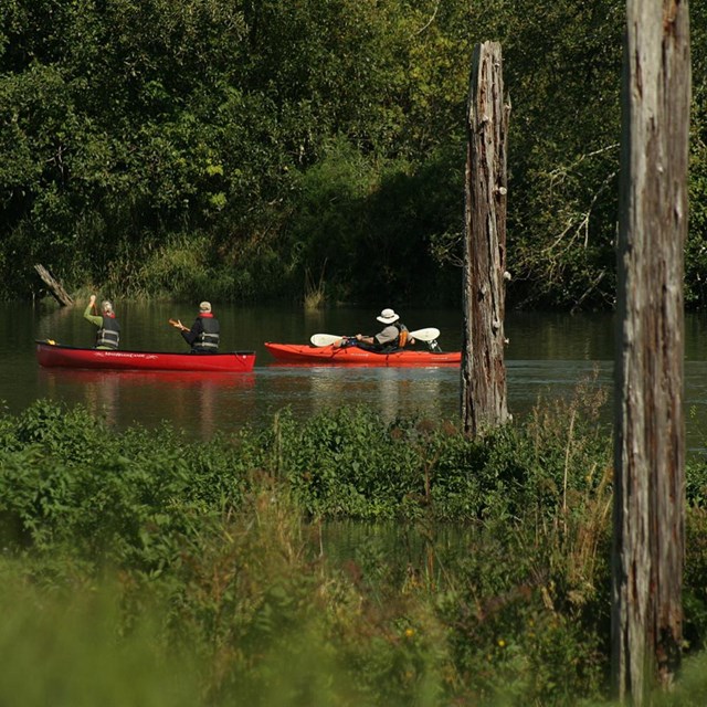 Personas en kayaks en el río.