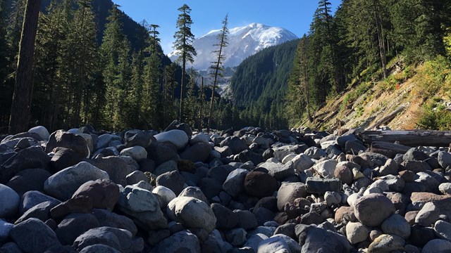 Un valle fluvial cubierto de rocas con el Monte Rainier enmarcado por laderas boscosas.