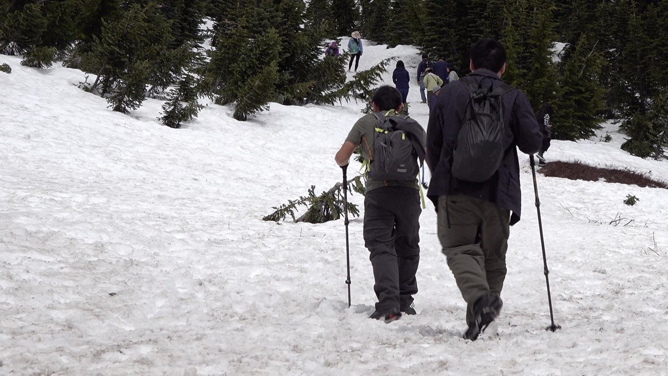 Dos excursionistas con bastones de trekking y mochilas siguiendo a otros que suben por una pendiente