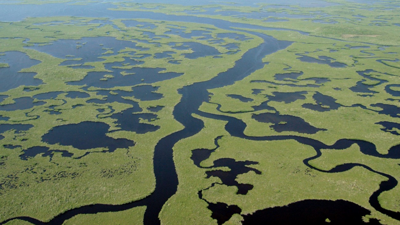 aerial view of Everglades