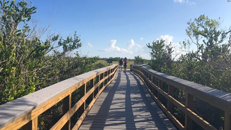 Bobcat Boardwalk