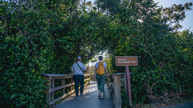  Two people on a boardwalk surrounded by vegetation next to a sign that reads, "Bobcat Boardwalk Tra