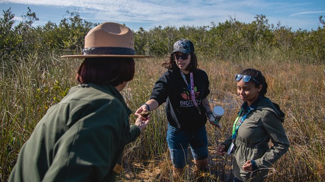 A Park Ranger and students stand in water and grass under a blue sky.