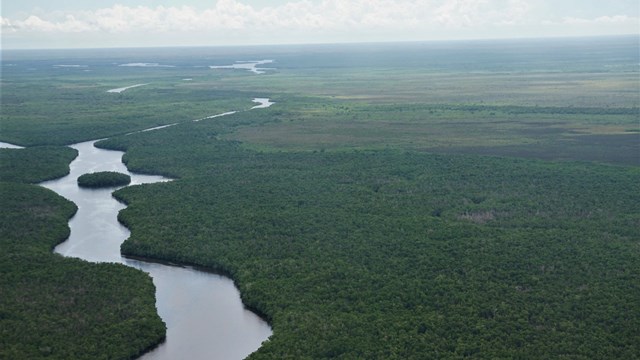 Aerial view of the Everglades. Dense green vegetation surrounds a long body of water.