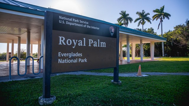 Royal Palm / Anhinga Trail