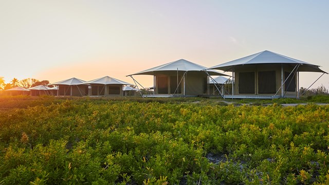 Large tents on a boardwalk under the glow of sunset.