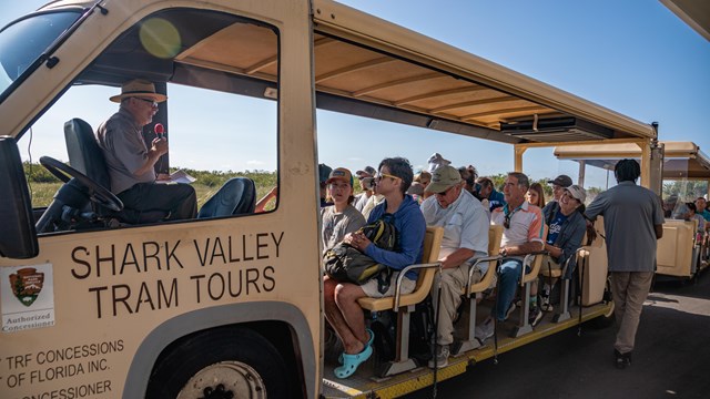 Trams with seated visitors on the Shark Valley Tram road under a bright blue sky.