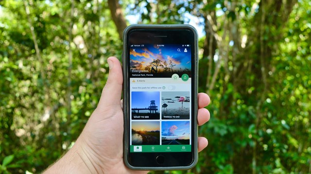 A hand holding up a smartphone displaying the NPS app