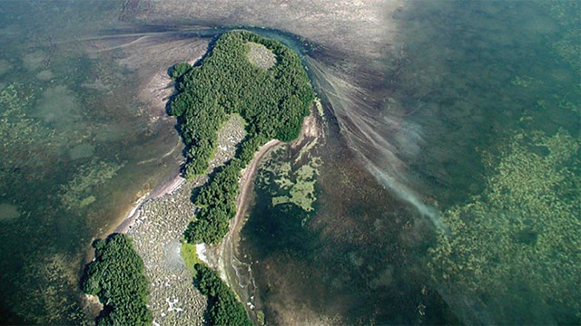 Patterns of Propeller Scarring on Seagrass in Florida Bay