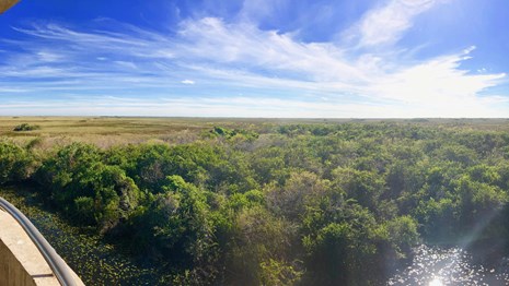 Visiting In The Current Dry Season