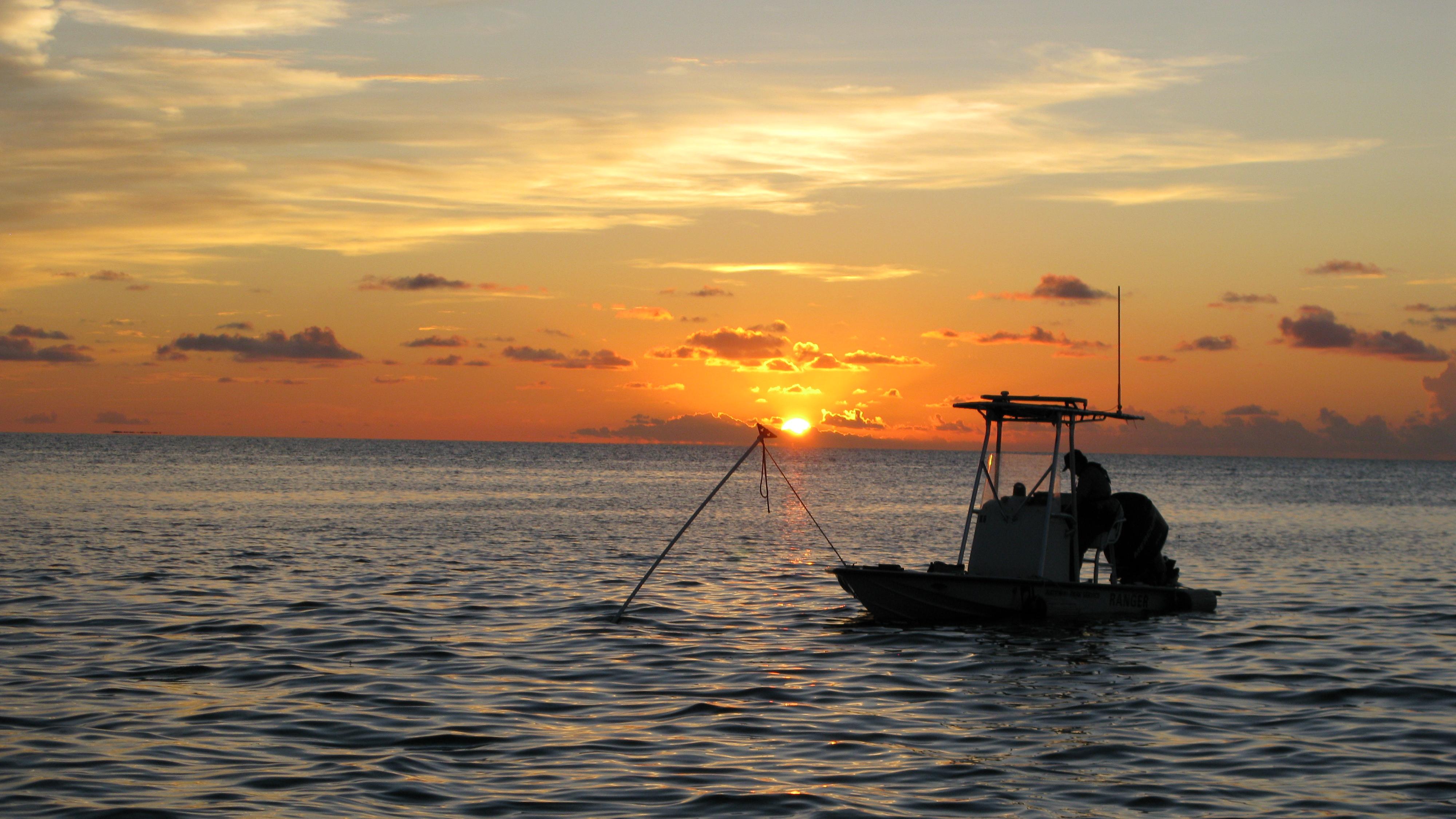 The everglades что это. B6D99B22 F5BB E548 F41B91B9ACF3762C. The everglades что это фото. The everglades что это-B6D99B22 F5BB E548 F41B91B9ACF3762C. картинка The everglades что это. картинка B6D99B22 F5BB E548 F41B91B9ACF3762C