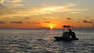 Explore the Park with Guides