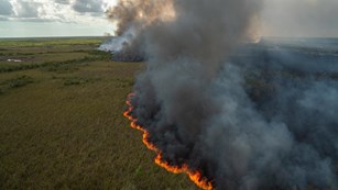 Fire burning in remote wilderness area of Everglades National Park.