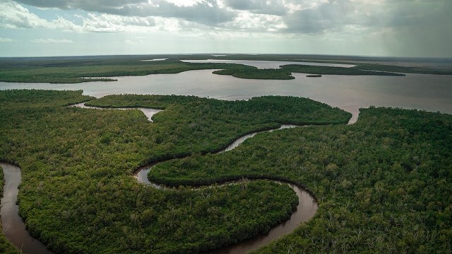 From above, a river snakes through dense vegetation