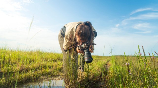 An intern stands in water and on grass and points the camera to the ground.