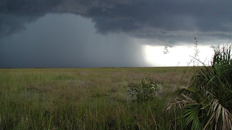 A storm is moving over a vast field of sawgrass